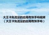 大王卡免流量的应用有快手吗视频（大王卡免流量的应用有快手吗）
