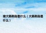 猪大肠刺身是什么（大肠刺身是什么）