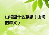 山坞里什么意思（山坞的释义）