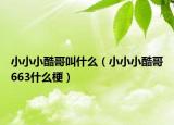 小小小酷哥叫什么（小小小酷哥663什么梗）