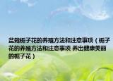 盆栽栀子花的养殖方法和注意事项（栀子花的养殖方法和注意事项 养出健康美丽的栀子花）