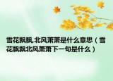 雪花飘飘,北风萧萧是什么意思（雪花飘飘北风萧萧下一句是什么）