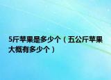 5斤苹果是多少个（五公斤苹果大概有多少个）
