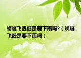 蜻蜓飞很低是要下雨吗?（蜻蜓飞低是要下雨吗）