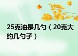 25克油是几勺（20克大约几勺子）