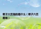 君子六艺指的是什么（君子六艺是啥）