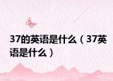 37的英语是什么（37英语是什么）