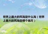 世界上最大的死海是什么海（世界上最大的死海是哪个地方）