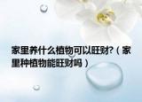 家里养什么植物可以旺财?（家里种植物能旺财吗）