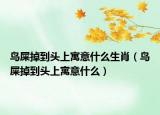 鸟屎掉到头上寓意什么生肖（鸟屎掉到头上寓意什么）