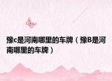 豫c是河南哪里的车牌（豫B是河南哪里的车牌）
