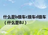 什么是b级车c级车d级车（什么是BJ）