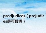 predjudices（prejudices是可数吗）
