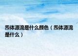 炁体源流是什么颜色（炁体源流是什么）