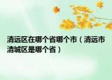 清远区在哪个省哪个市（清远市清城区是哪个省）