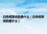 白色相簿说的是什么（白色相簿讲的是什么）
