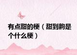有点甜的梗（甜到齁是个什么梗）