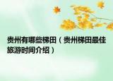 贵州有哪些梯田（贵州梯田最佳旅游时间介绍）