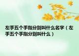 左手五个手指分别叫什么名字（左手五个手指分别叫什么）