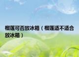 榴莲可否放冰箱（榴莲适不适合放冰箱）
