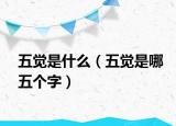 五觉是什么（五觉是哪五个字）
