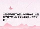 文竹叶子发黄了有什么办法解决吗（文竹叶子黄了怎么办 常见的原因及处理方法如下）