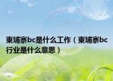 柬埔寨bc是什么工作（柬埔寨bc行业是什么意思）