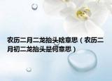 农历二月二龙抬头啥意思（农历二月初二龙抬头是何意思）