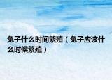 兔子什么时间繁殖（兔子应该什么时候繁殖）