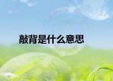 敲背是什么意思