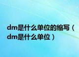 dm是什么单位的缩写（dm是什么单位）