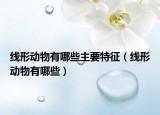 线形动物有哪些主要特征（线形动物有哪些）
