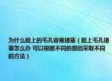 为什么脸上的毛孔容易堵塞（脸上毛孔堵塞怎么办 可以根据不同的原因采取不同的方法）
