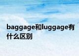 baggage和luggage有什么区别