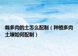 栽多肉的土怎么配制（种植多肉土壤如何配制）