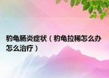 豹龟肠炎症状（豹龟拉稀怎么办 怎么治疗）