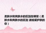 柔肤水和爽肤水的区别在哪里（柔肤水和爽肤水的区别 送给爱护肤的你）
