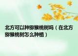 北方可以种猕猴桃树吗（在北方猕猴桃树怎么种植）