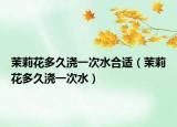 茉莉花多久浇一次水合适（茉莉花多久浇一次水）