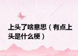 上头了啥意思（有点上头是什么梗）