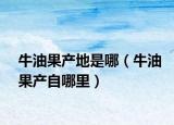 牛油果产地是哪（牛油果产自哪里）
