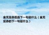 金无足赤后面下一句是什么（金无足赤的下一句是什么）