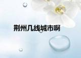 荆州几线城市啊