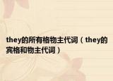 they的所有格物主代词（they的宾格和物主代词）