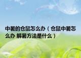 中暑的仓鼠怎么办（仓鼠中暑怎么办 解暑方法是什么）
