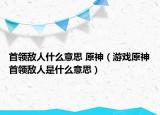 首领敌人什么意思 原神（游戏原神首领敌人是什么意思）