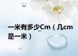 一米有多少Cm（几cm是一米）