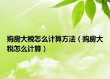 购房大税怎么计算方法（购房大税怎么计算）