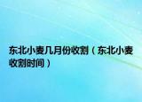 东北小麦几月份收割（东北小麦收割时间）