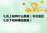 七月上旬种什么蔬菜（华北地区七月下旬种哪些蔬菜）
